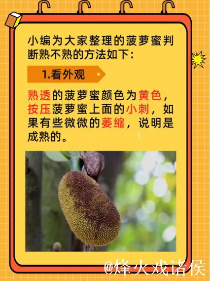 菠萝蜜视频网页版观看体验升级