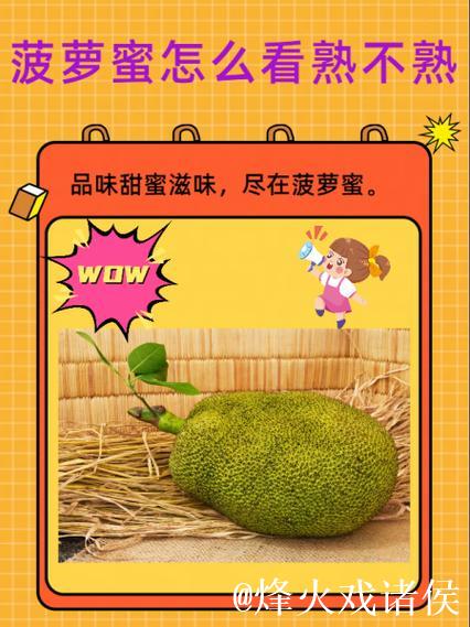 菠萝蜜视频网页版观看体验升级